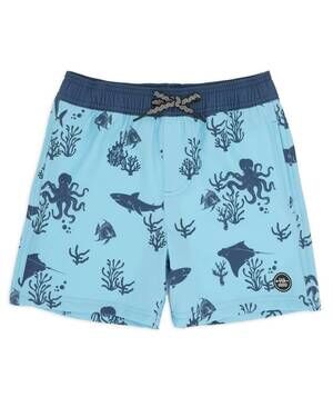 NEW FEATHER 4 ARROW boys volley swim trunks in crystal blue